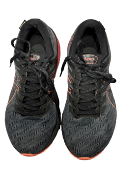 ASICS GT-2000 10 Women’s Gortex Flyte Foam Carrying Grey/Black Colorway Pink 8.5